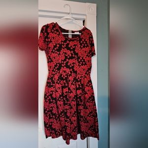 Lularoe Amelia dress